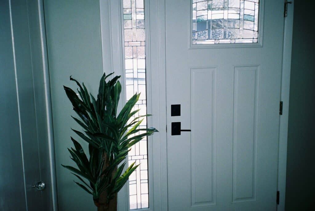 a potted plant sitting in front of a white door